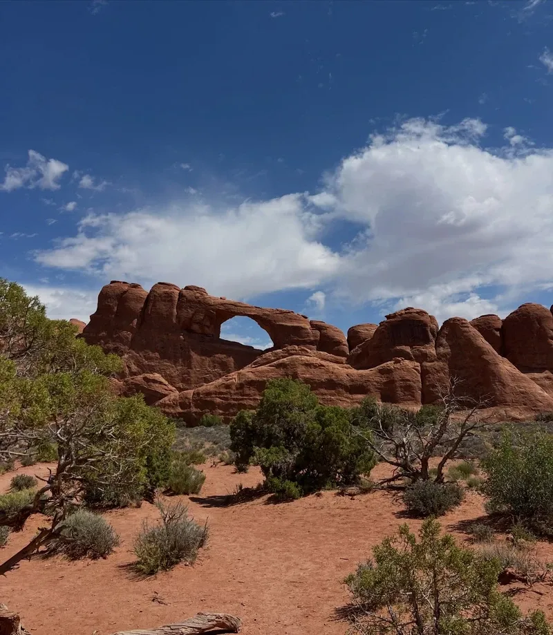 Arches National Park view